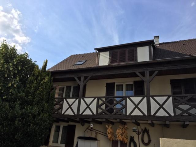 Les Hibiscus Vila Andolsheim Exterior foto